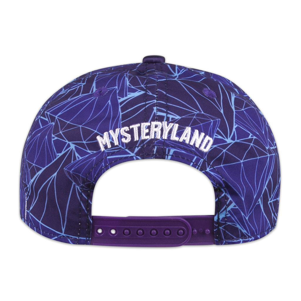 Mysteryland snapback blue/pattern