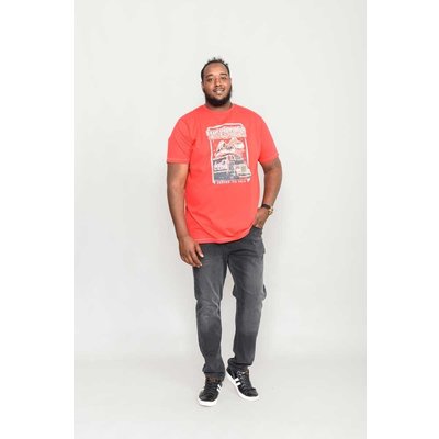 Duke/D555 T-shirt 601220 5XL
