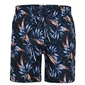 Duke/D555 Swim shorts 211501 3XL