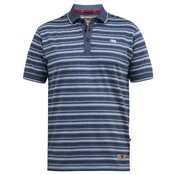 Duke/D555 Polo 611500 5XL