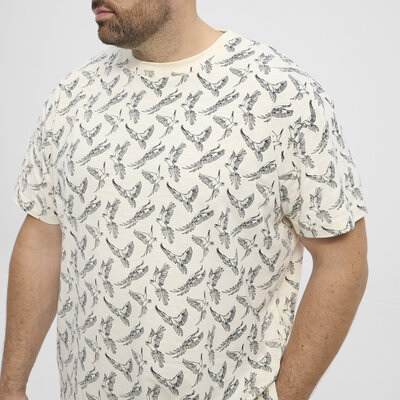 North Latitude T-shirt 51131 6XL