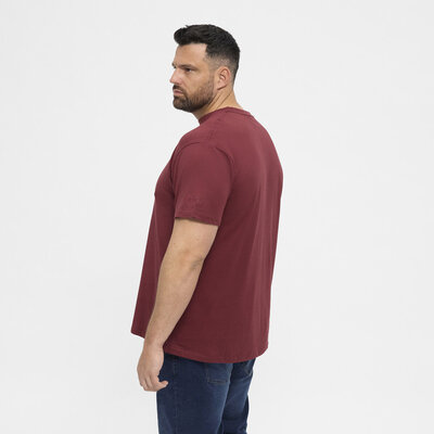 North Latitude T-shirt 99010/380 bordeaux 6XL