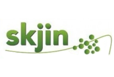 Skjin