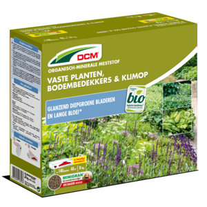DCM Meststof Vaste planten, Bodembedekkers & Klimop 3 KG