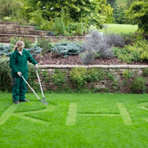 De Wiltfang  Grasschaar vlak, loopmodel