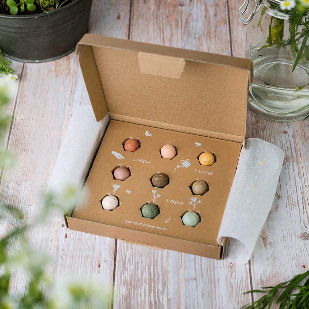 Giftbox Medium 'Xmas' zaadbolletjes - 9 stuks