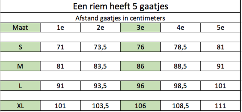 Ariat Bruine leren riem met studs