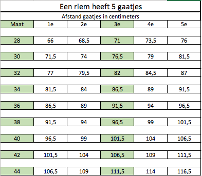 Ariat Bruin leren riem  met bladmotief
