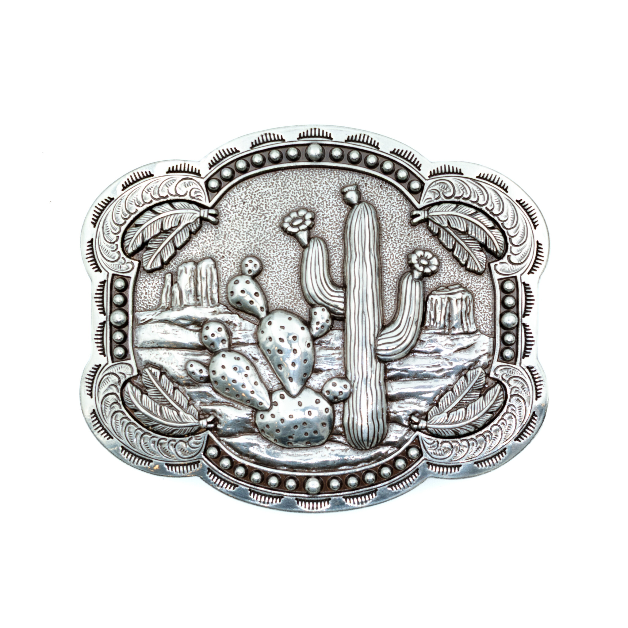 Nocona  Buckle met cactussen