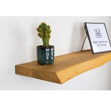 Stammwandregal Eiche transparent geölt