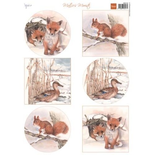 BILDER / PICTURES: Studio Light, Staf Wesenbeek, Willem Haenraets A4 broadsheet, Animaux BILDER / PICTURES: Studio Light, Staf Wesenbeek, Willem Haenraets A4 broadsheet, Animaux