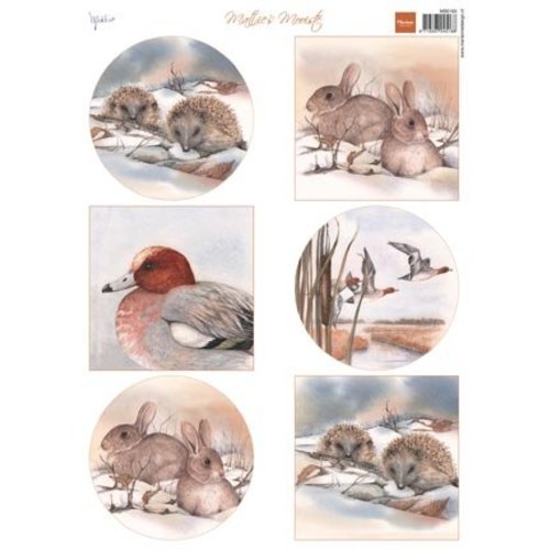 BILDER / PICTURES: Studio Light, Staf Wesenbeek, Willem Haenraets A4 broadsheet, Animaux BILDER / PICTURES: Studio Light, Staf Wesenbeek, Willem Haenraets A4 broadsheet, Animaux