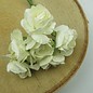 BLUMEN (MINI) UND ACCESOIRES Ramos de flores, blanco de la mirada, la vendimia