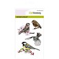 Crealies und CraftEmotions Gjennomsiktige stempler: Birds