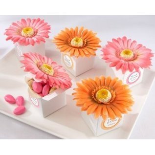 Docrafts / X-Cut Decorative Stones, Gorgeous Flowers