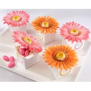 Docrafts / X-Cut Stanzschablonen SET, Dekorativ, Herrliche Blumen- die LETZTE Schablonen!