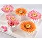 Docrafts / X-Cut Fustelle decorativa, Splendido Fiore