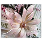 Docrafts / X-Cut Stansmessen decoratief, prachtige bloem