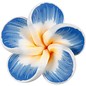 Embellishments / Verzierungen Embellishments: 8 flotte 3D-blomster