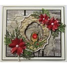 Stempel / Stamp: Transparent Cancella / bollo trasparente: Natale Robin