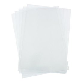 Karten und Scrapbooking Papier, Papier blöcke 5 feuilles A4 carton Perlmut, blanc