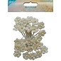 Embellishments / Verzierungen 25 blomster Ivory