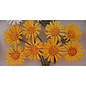 BLUMEN (MINI) UND ACCESOIRES Paper blomster, daisies 8