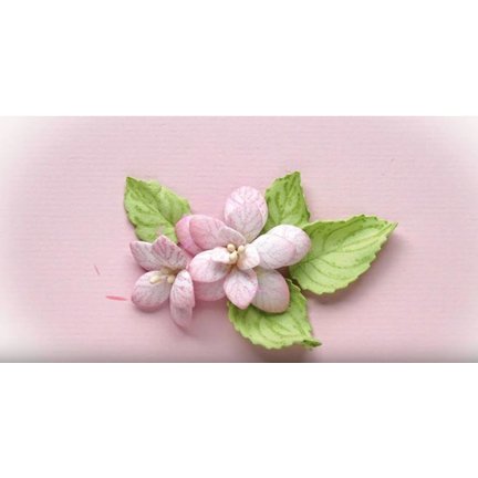 Leane creatief: Hydrangea Stanzschabloe with matching stamp