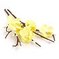 Prima Marketing und Petaloo 3 cherry blossom stems, color ivory