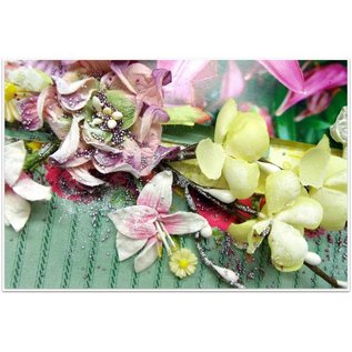 Prima Marketing und Petaloo 3 steli di fiori di ciliegio, colore avorio