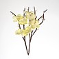 Prima Marketing und Petaloo 3 cherry blossom stems, color ivory