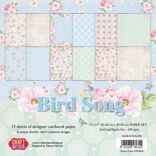Designer Papier Scrapbooking: 30,5 x 30,5 cm Papier Scrapbog og kort papirblok, 30,5 x 30,5 cm, Bird Song