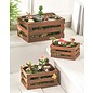 BASTELSETS / CRAFT KITS Mini set da giardino, poliresina. Progettare in fioriere come decorazione da giardino e balcone!