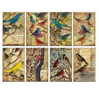 decorer Carte e blocco di carta scrapbooking, uccelli, 7 x 10,8 cm, 150 gsm