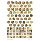 Embellishments / Verzierungen LaBlanche ceramic paper "Goldcabochons"