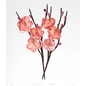 Embellishments / Verzierungen Dekorative blomster, lavet af stof, blødende 2,5 cm grene 11 cm