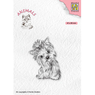 Stamp, Yorkshire Terrier, 41 x 55 mm