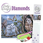 BASTELSETS / CRAFT KITS Kit di diamanti, gufi