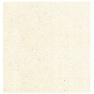 Studio Light Feuille de scrapbooking, 30,5 x 30,5 cm, Fleurs botaniques