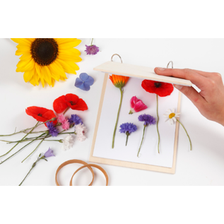 Flower press made of light wood with lockable metal rings and 20 blank pages (120 g)