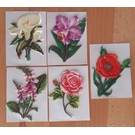 Embellishments / Verzierungen 5 quadri in cera, fiori. Circa 8,5 x 6 cm, colorato