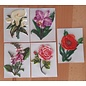 Embellishments / Verzierungen 5 Wachsbilder, Blumen. Ca. 8,5 x 6 cm, farbig