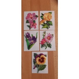 HCP 5 cuadros de cera, flores. 8,5 x 6 cm aprox., de color
