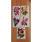 Embellishments / Verzierungen 5 voksbilder, blomster. Ca 8,5 x 6 cm, farget