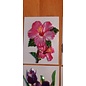Embellishments / Verzierungen 5 cuadros de cera, flores. 8,5 x 6 cm aprox., de color