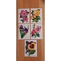 Embellishments / Verzierungen 5 voksbilleder, blomster. Ca 8,5 x 6 cm, farvet