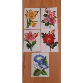 Embellishments / Verzierungen 5 voksbilleder, blomster. Ca 8,5 x 6 cm, farvet