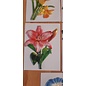 Embellishments / Verzierungen 5 Wachsbilder, Blumen. Ca. 8,5 x 6 cm, farbig