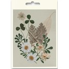 Embellishments / Verzierungen Een set van gedroogde en geperste bloemen