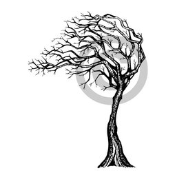 Stempel / Stamp: Transparent Transparent stempel: Tree